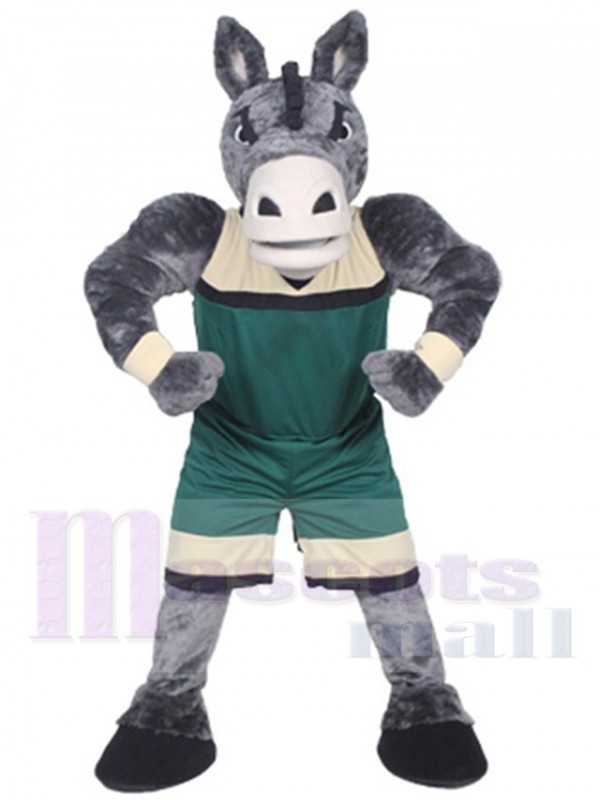 Âne costume de mascotte