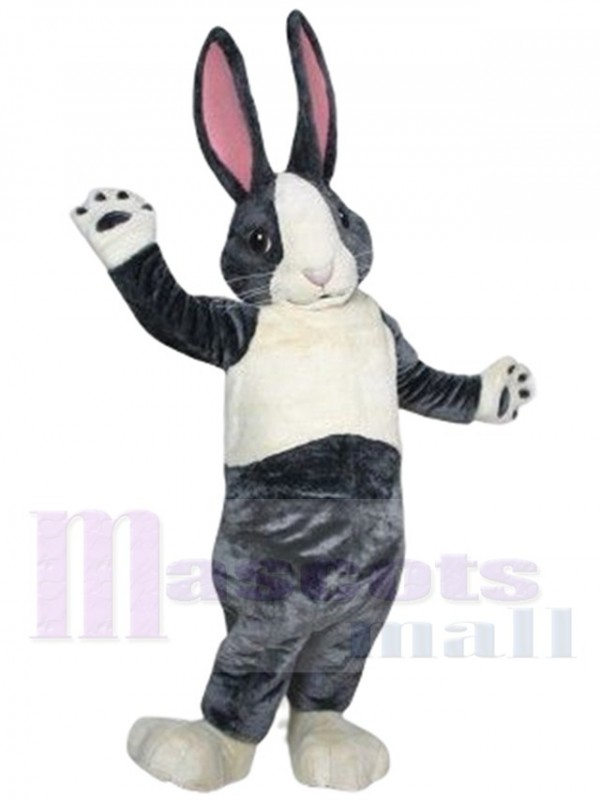 Lapin costume de mascotte