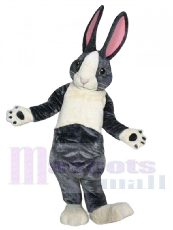 Lapin costume de mascotte