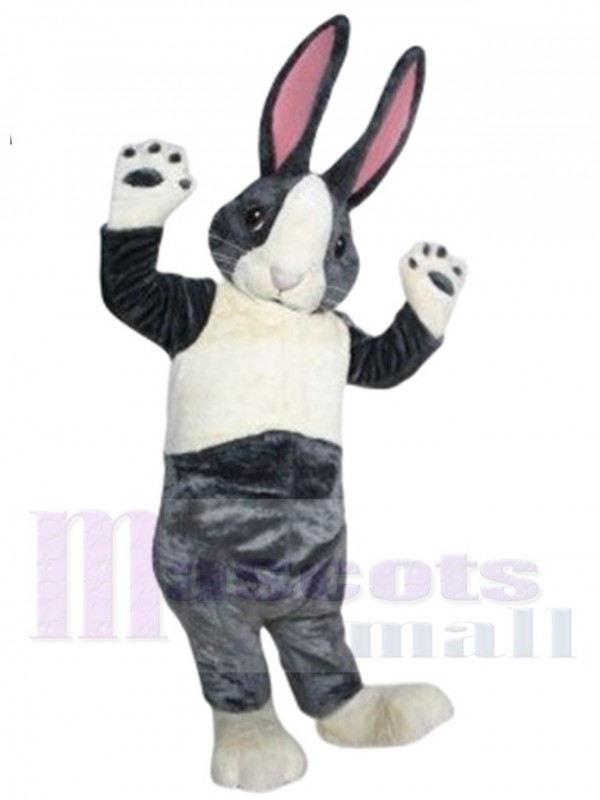 Lapin costume de mascotte