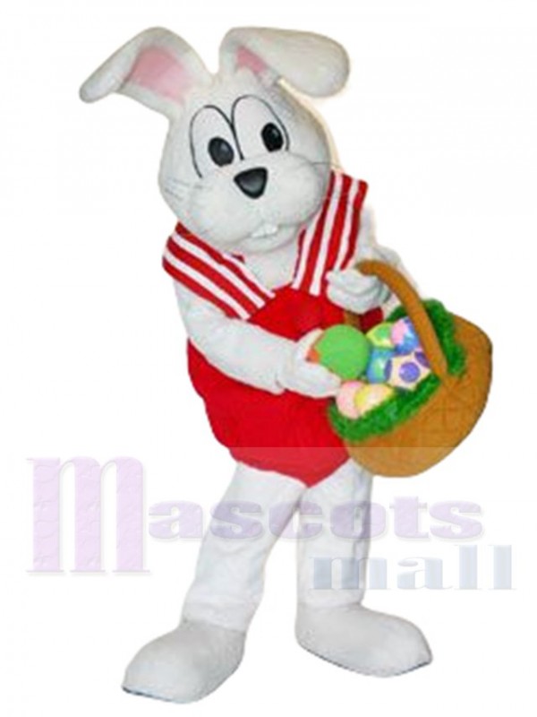 Peter lapin costume de mascotte