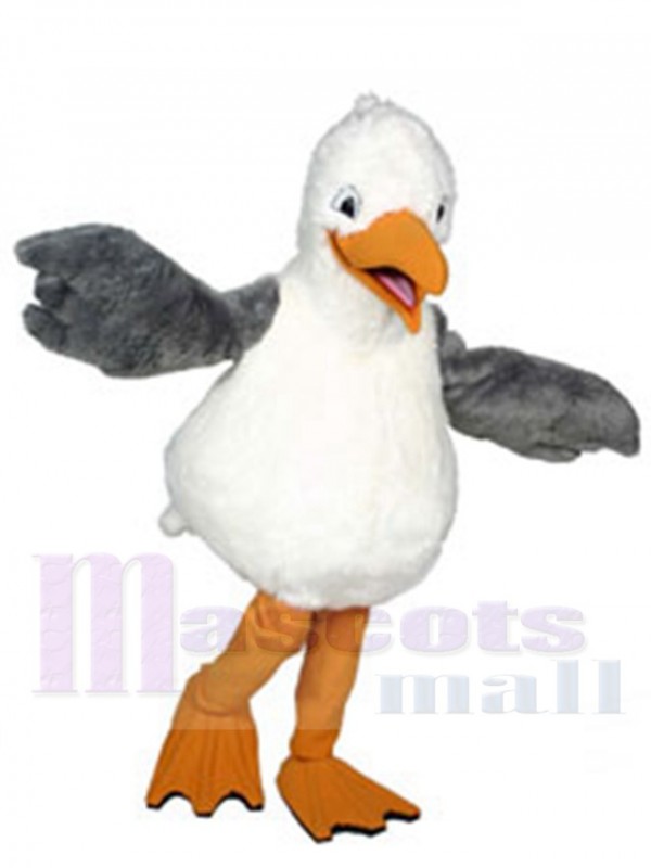 Sam Diego Mouette costume de mascotte