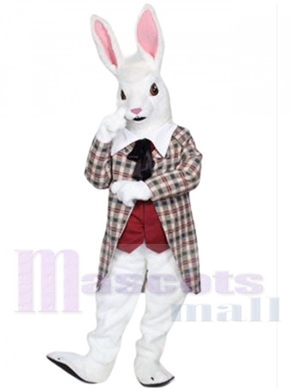 Lapin costume de mascotte