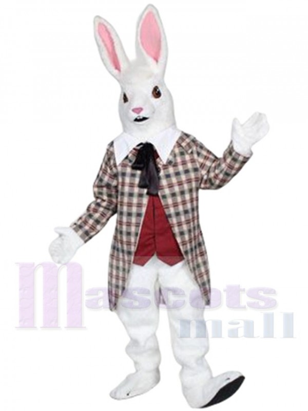 Lapin costume de mascotte