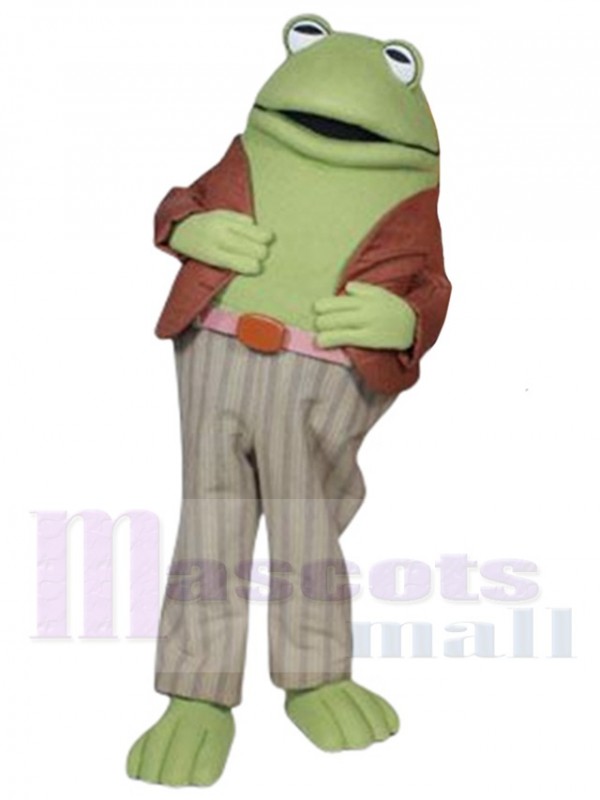 Grenouille costume de mascotte