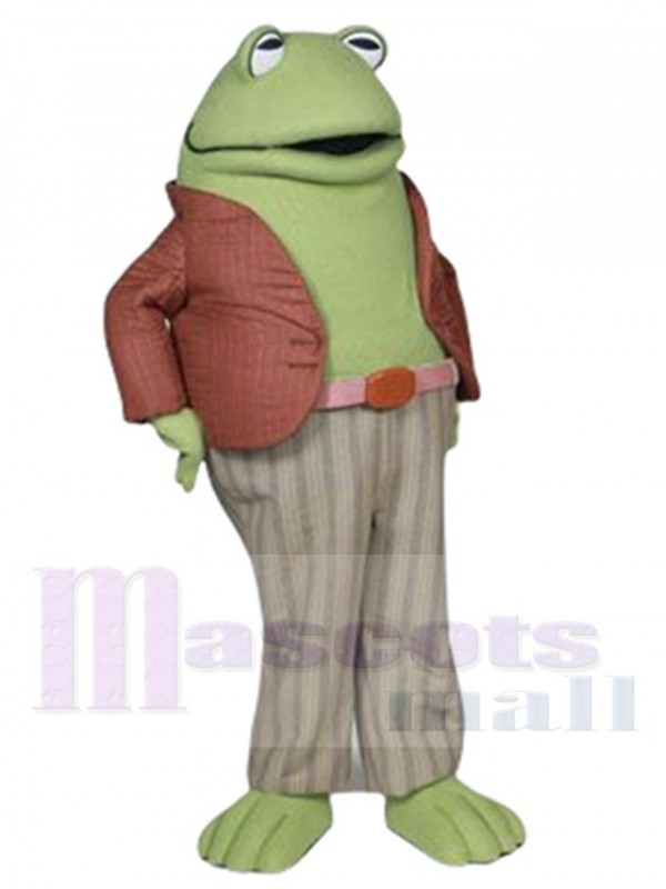 Grenouille costume de mascotte