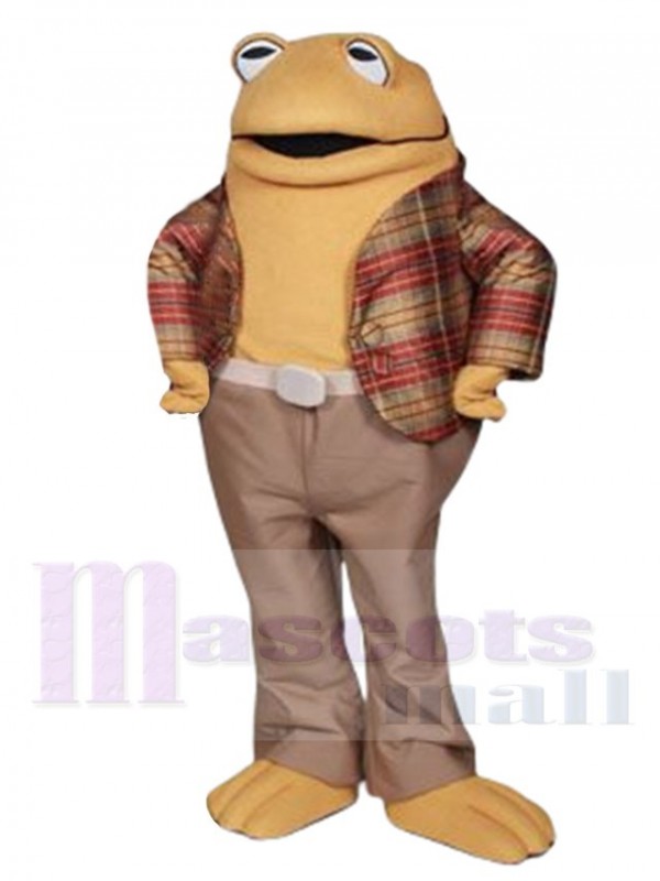 Crapaud costume de mascotte