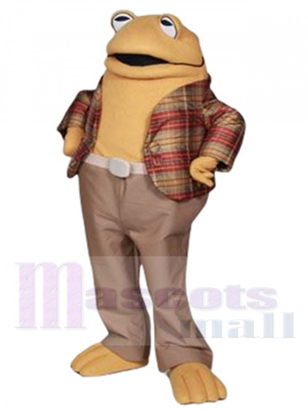 Crapaud costume de mascotte