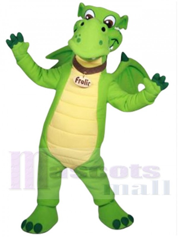 Dragon gambader costume de mascotte