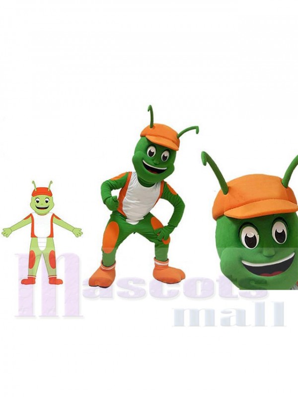 Insecte costume de mascotte