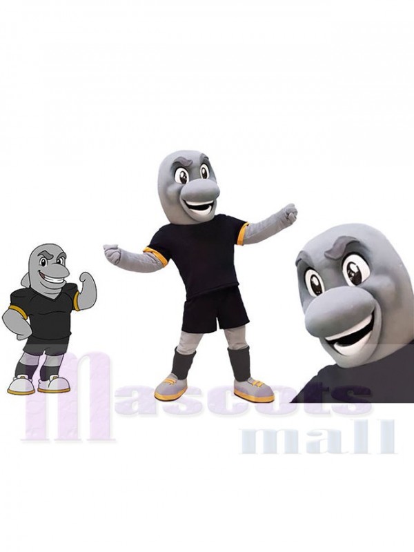 Dauphin costume de mascotte