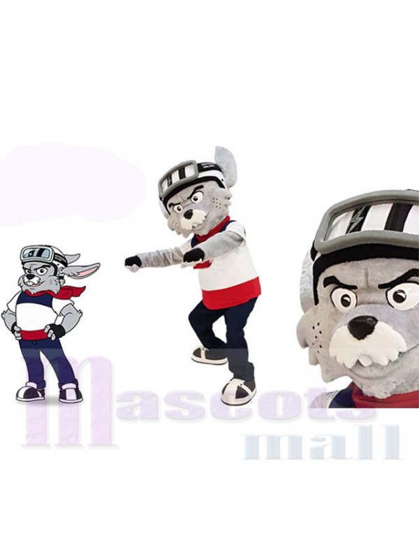 Lynx costume de mascotte
