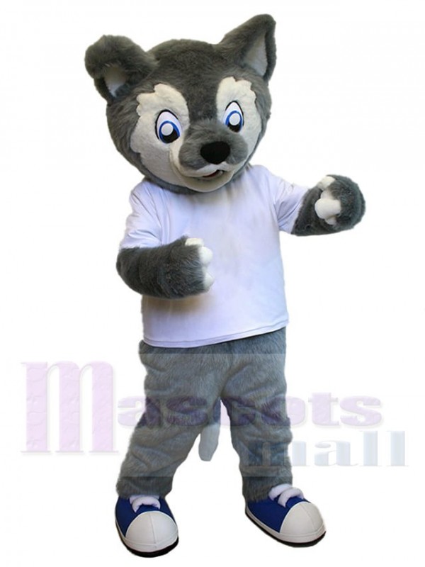 Loup costume de mascotte