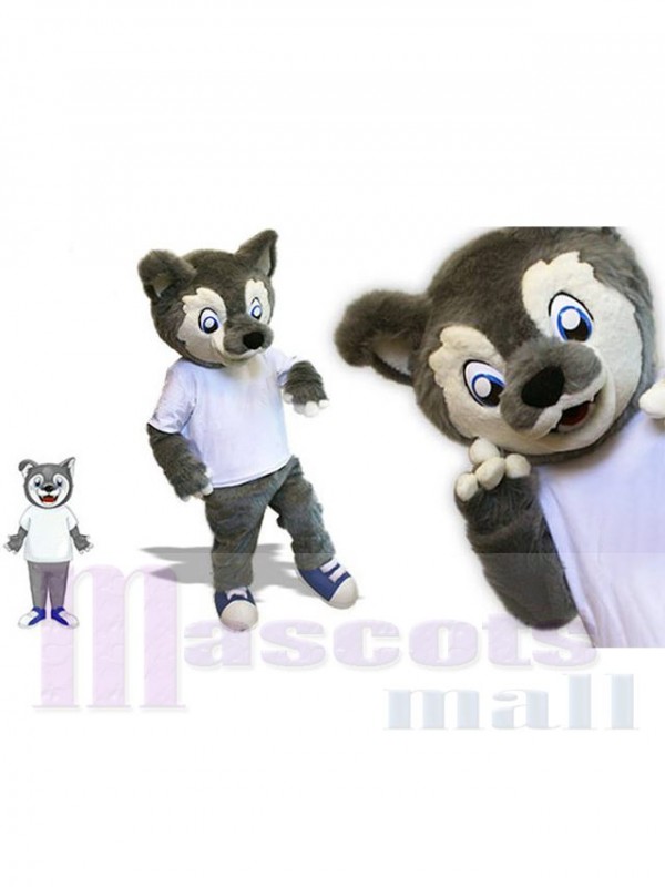 Loup costume de mascotte