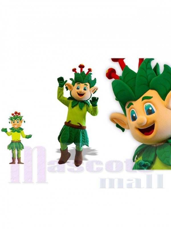 Elfe costume de mascotte