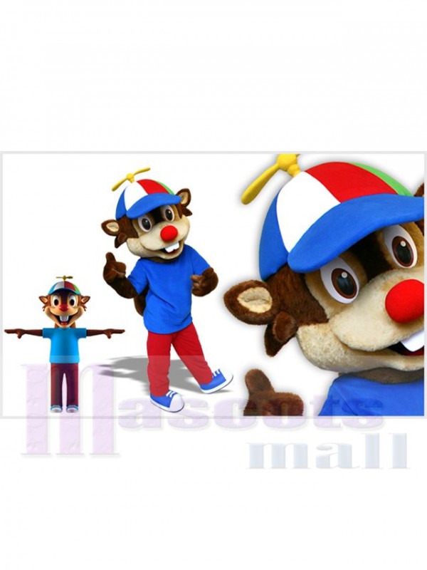 Écureuil costume de mascotte