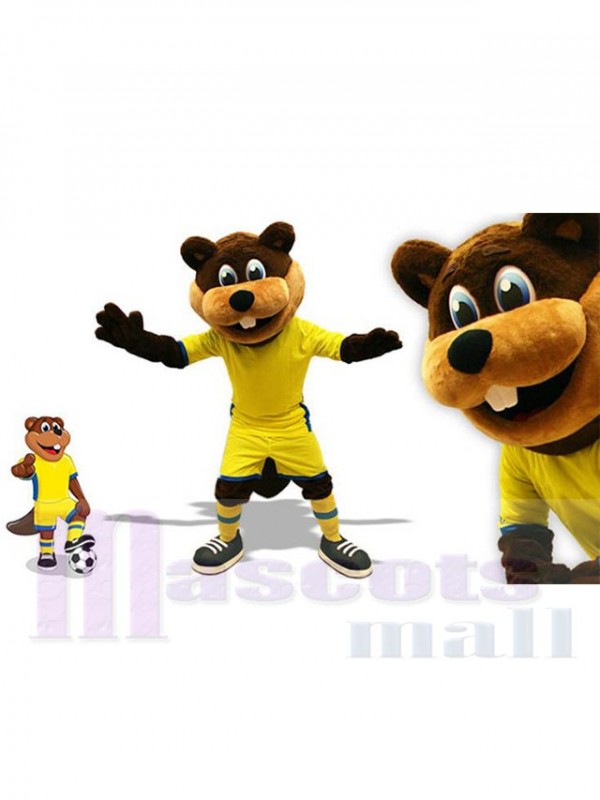 Castor costume de mascotte