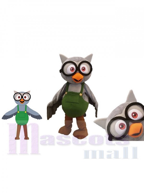 Hibou costume de mascotte
