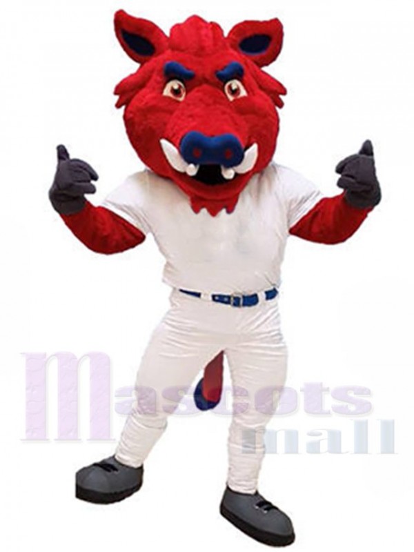Sanglier costume de mascotte
