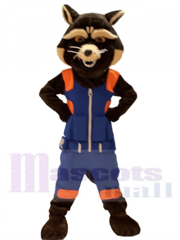 Raton laveur fusée costume de mascotte