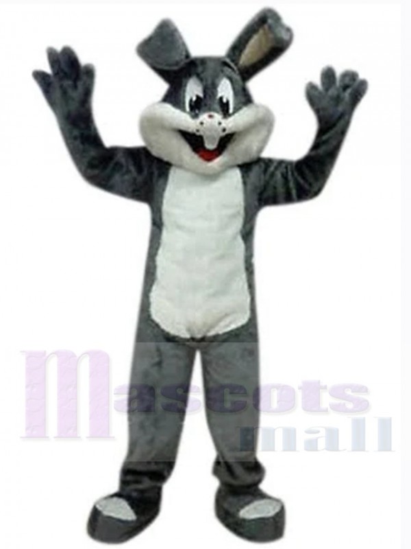 Lapin de Pâques costume de mascotte