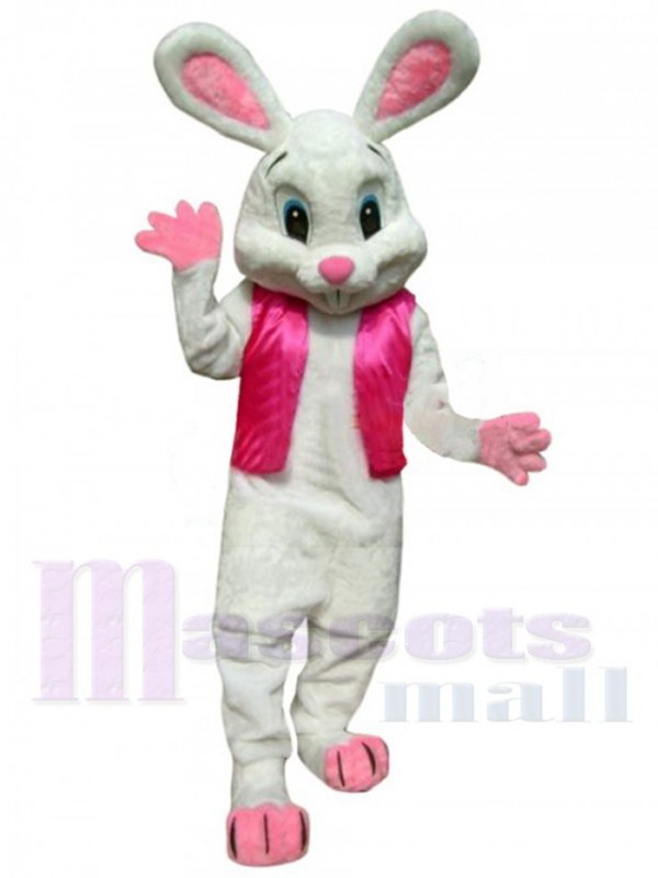 Lapin de Pâques costume de mascotte