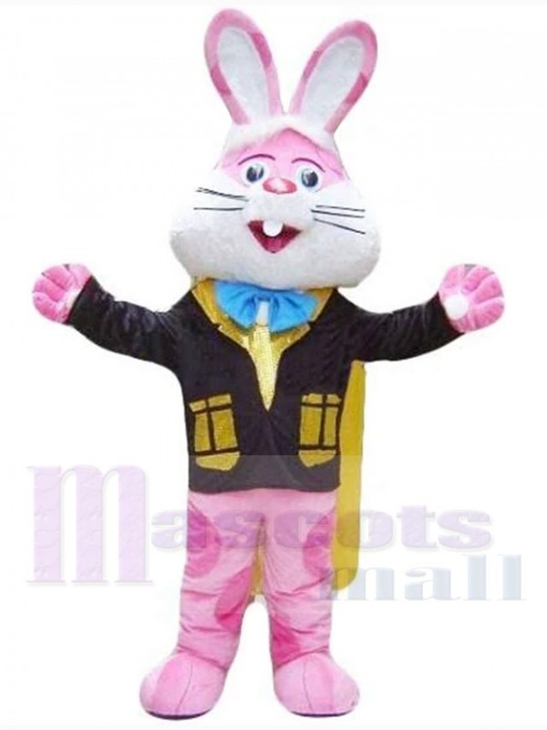 Lapin de Pâques costume de mascotte