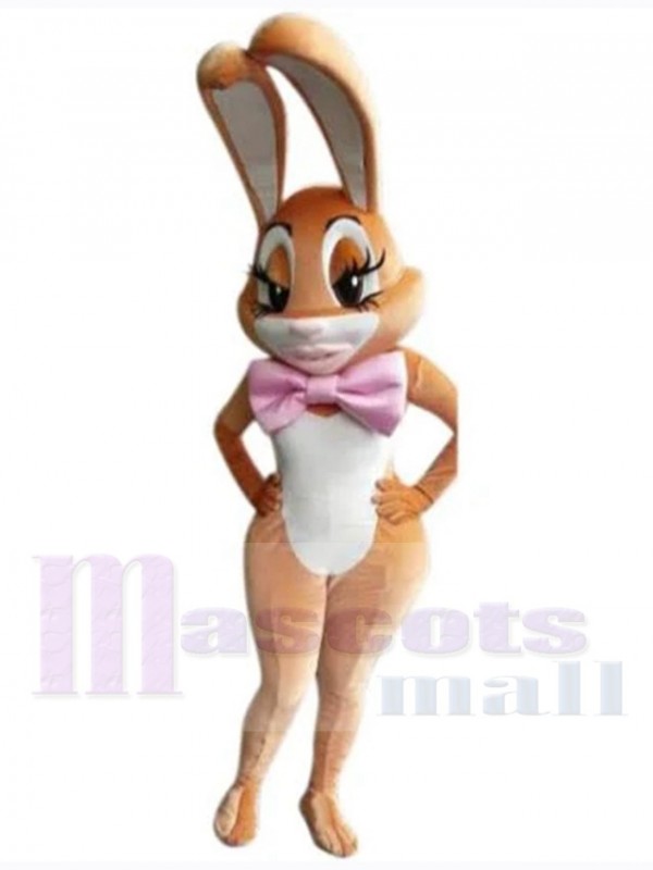 Lapin de Pâques costume de mascotte