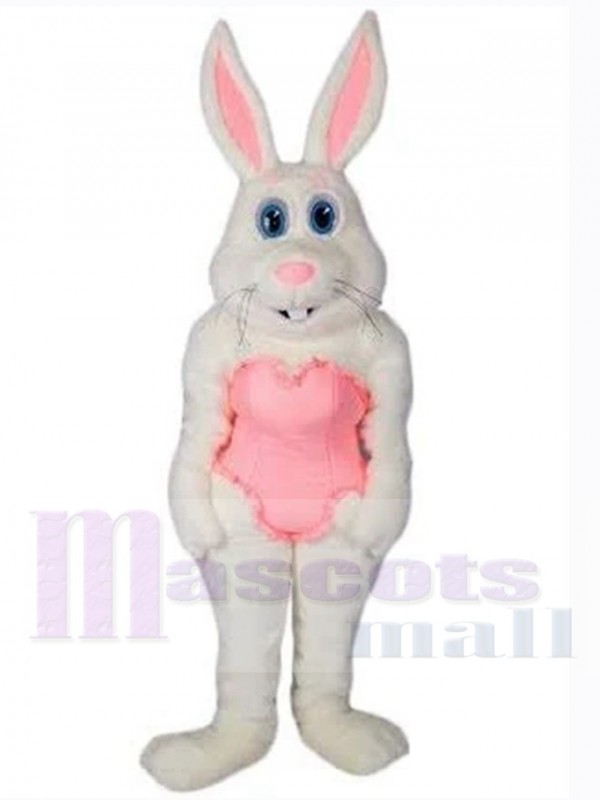 Lapin de Pâques costume de mascotte