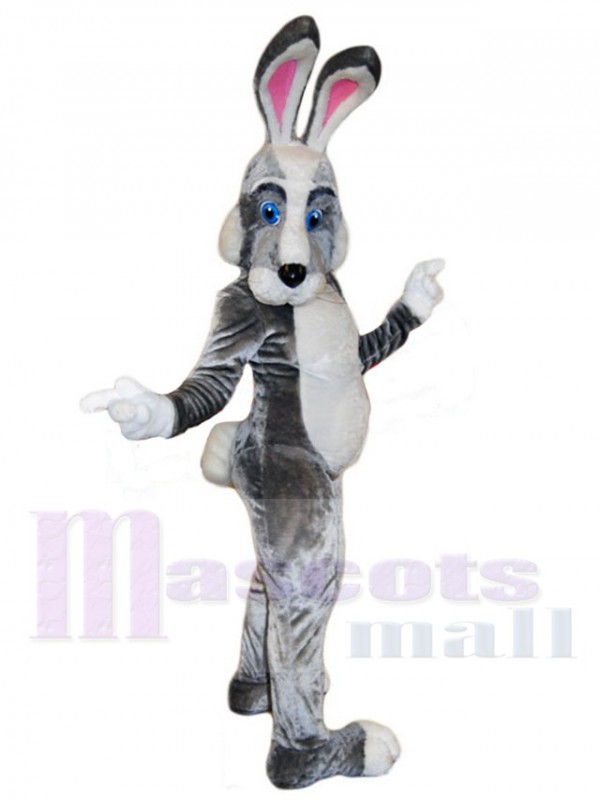 Lapin de Pâques costume de mascotte