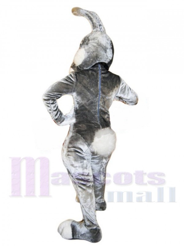 Lapin de Pâques costume de mascotte