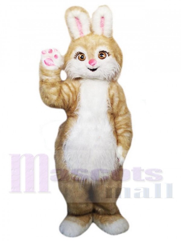 Lapin de Pâques costume de mascotte