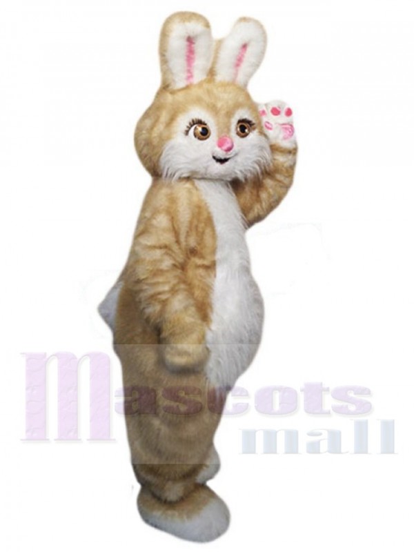 Lapin de Pâques costume de mascotte