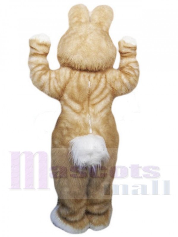 Lapin de Pâques costume de mascotte