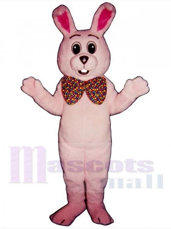 Lapin de Pâques costume de mascotte
