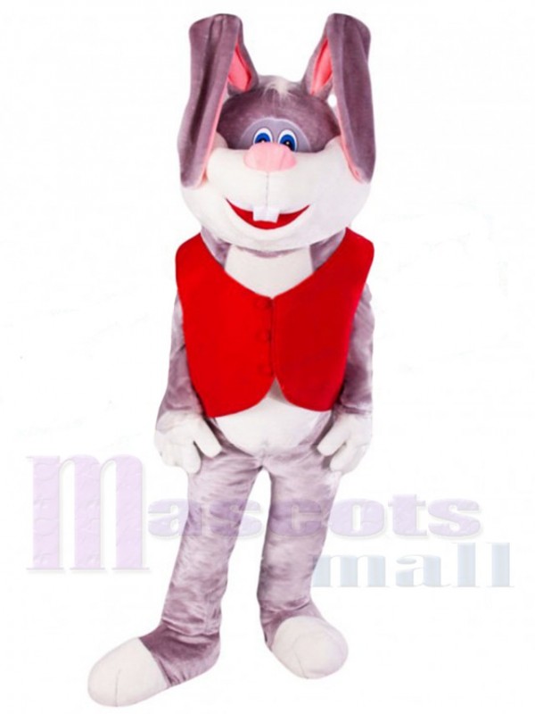 Lapin de Pâques costume de mascotte