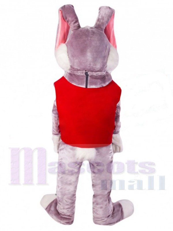 Lapin de Pâques costume de mascotte