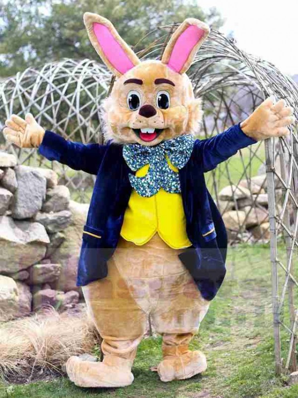 Lapin de Pâques costume de mascotte