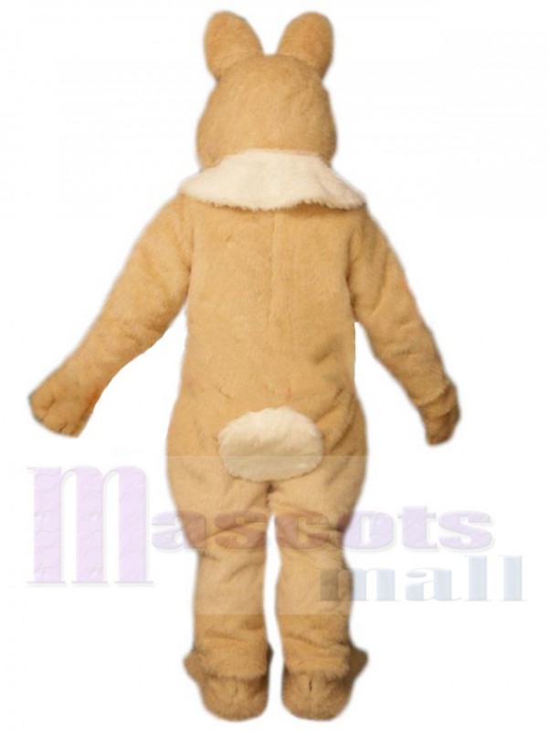 Lapin de Pâques costume de mascotte