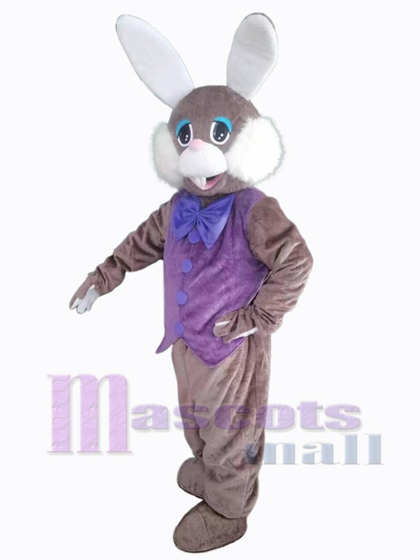 Lapin de Pâques costume de mascotte