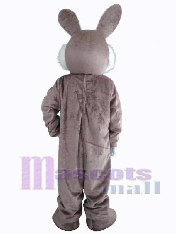 Lapin de Pâques costume de mascotte