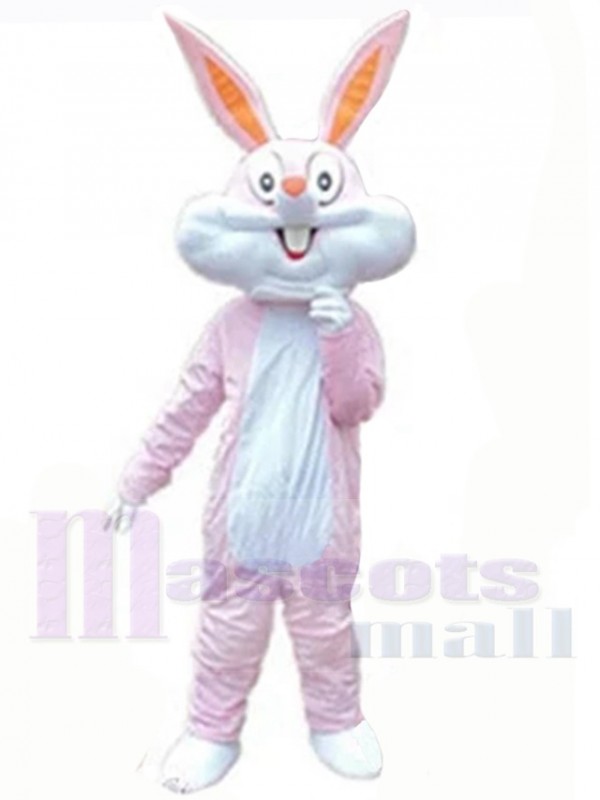 Lapin de Pâques costume de mascotte