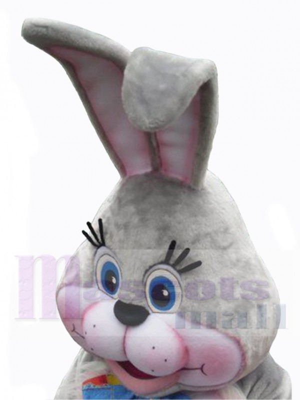 Lapin de Pâques costume de mascotte
