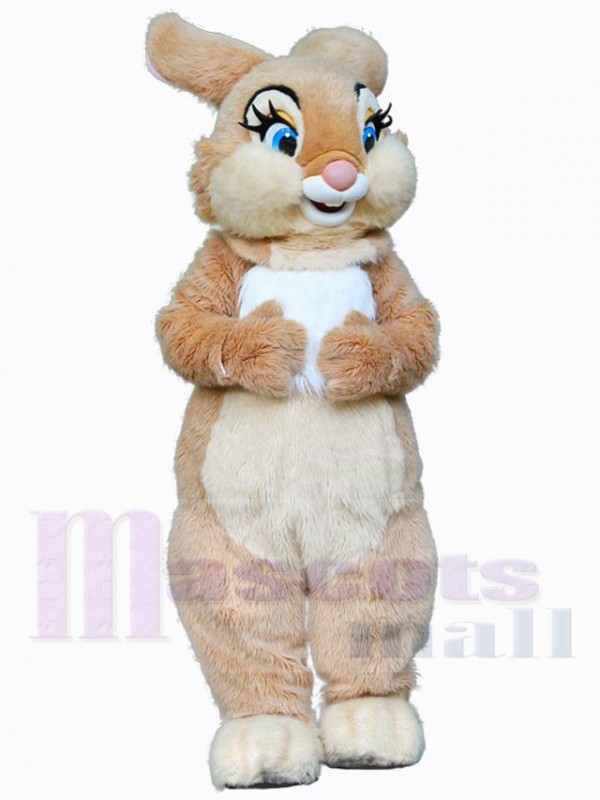 Lapin de Pâques costume de mascotte