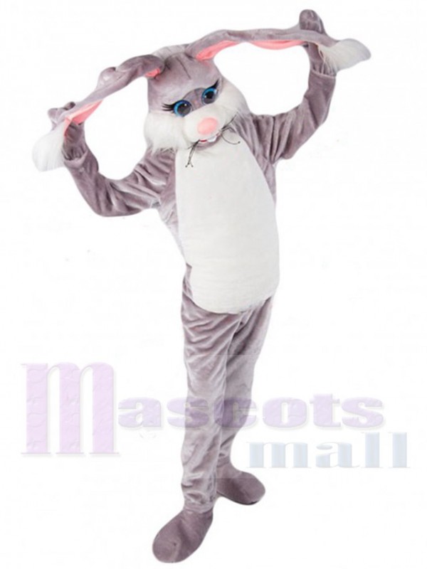 Lapin de Pâques costume de mascotte