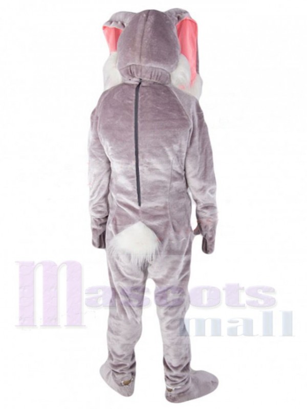 Lapin de Pâques costume de mascotte