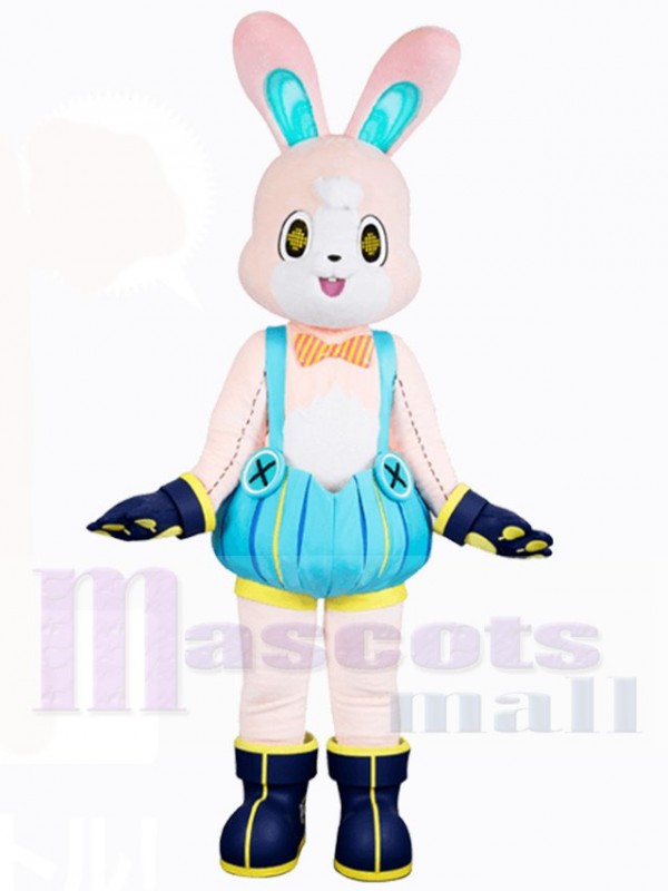 Lapin de Pâques costume de mascotte