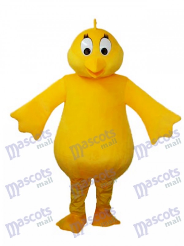 Big Belly Jaune Poulet Adulte Mascotte Costume Animal