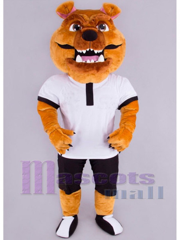 Tigre costume de mascotte