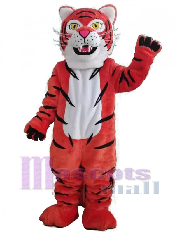 Tigre costume de mascotte